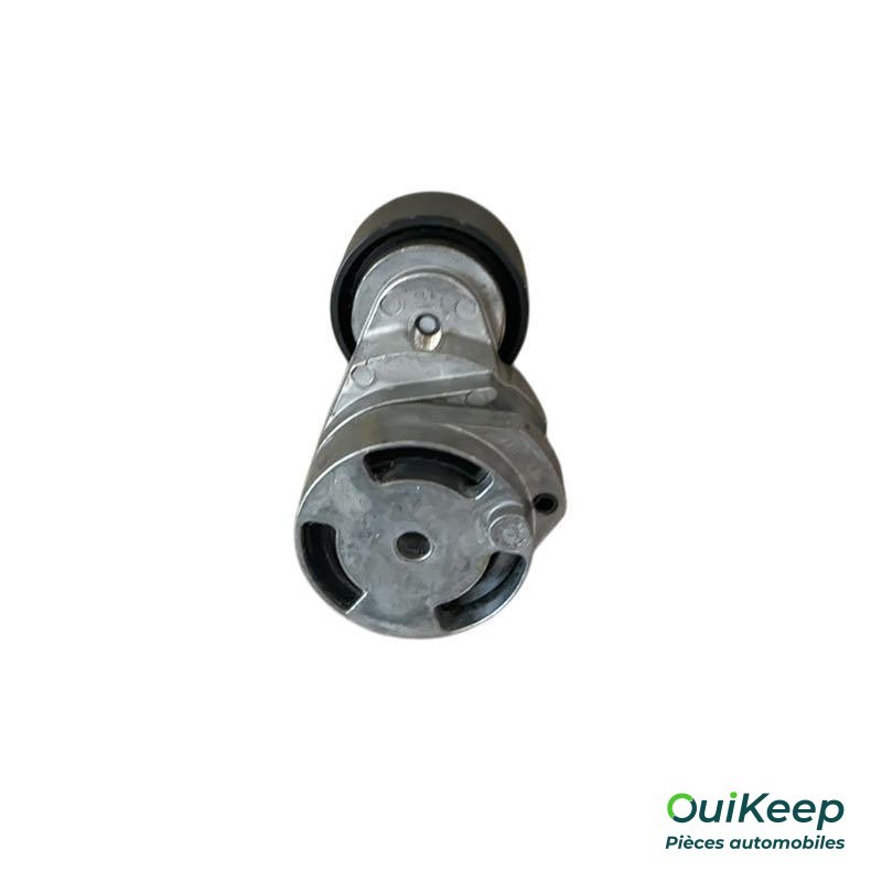 Koło pasowe, napinacz paska akcesoriów - FORD Fiesta 5 - 1480012