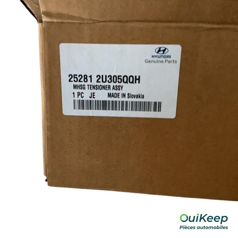 Napinacz łańcucha rozrządu - HYUNDAI Tucson - 252812U305QQH